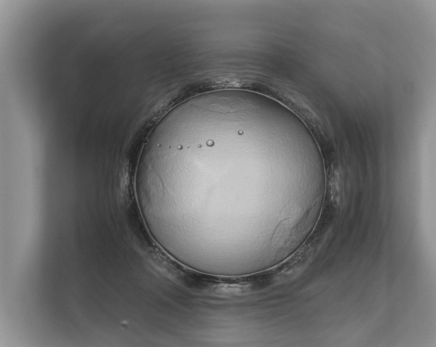 X0000110320314200905281638