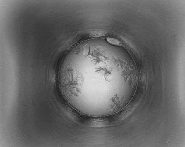 X0000110320315200905281638