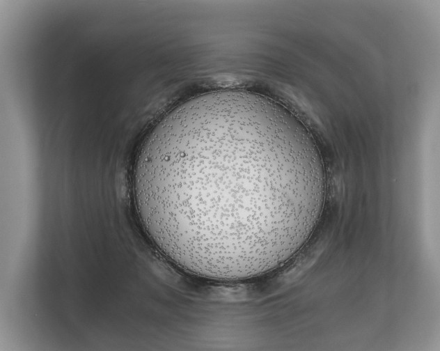 X0000110320317200905281638