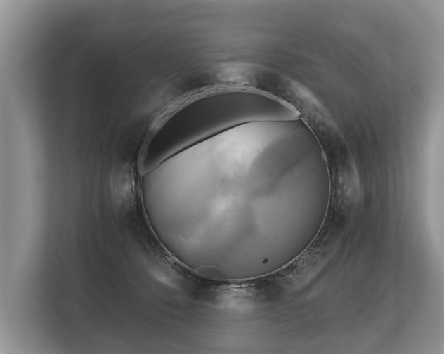 X0000110320320200905281638