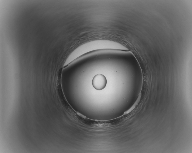 X0000110320323200905281638