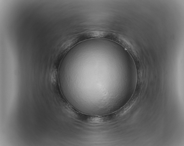 X0000110320325200905281638