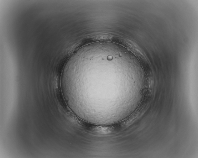 X0000110320326200905281638