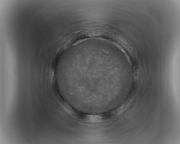 X0000110320327200905281638