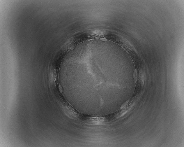 X0000110320328200905281638