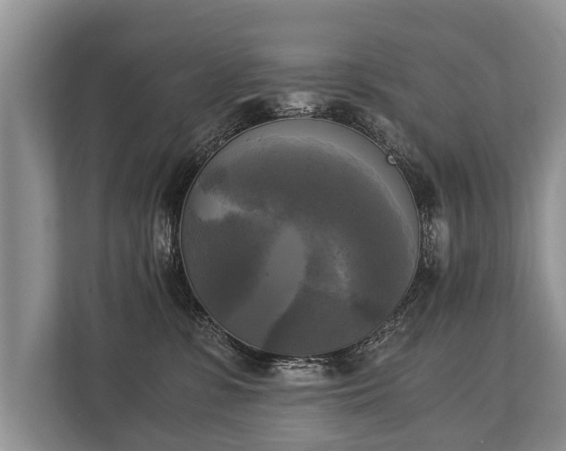 X0000110320331200905281637