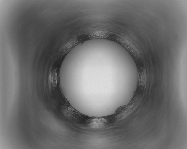 X0000110320334200905281637