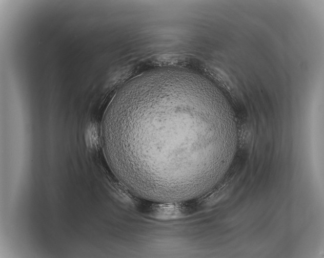 X0000110320335200905281637