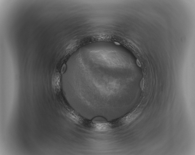 X0000110320336200905281637