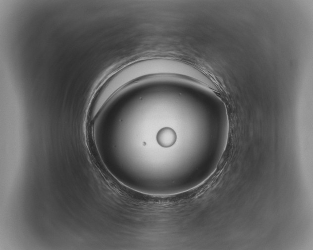 X0000110320340200905281637