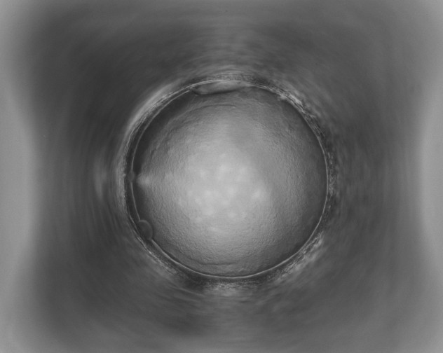 X0000110320341200905281637