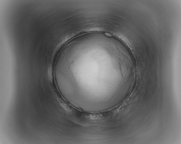 X0000110320345200905281637