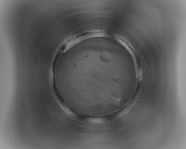 X0000110320349200905281637