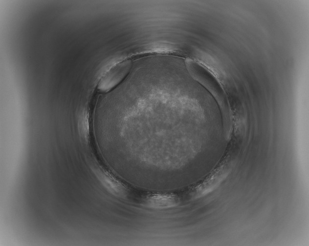 X0000110320350200905281637