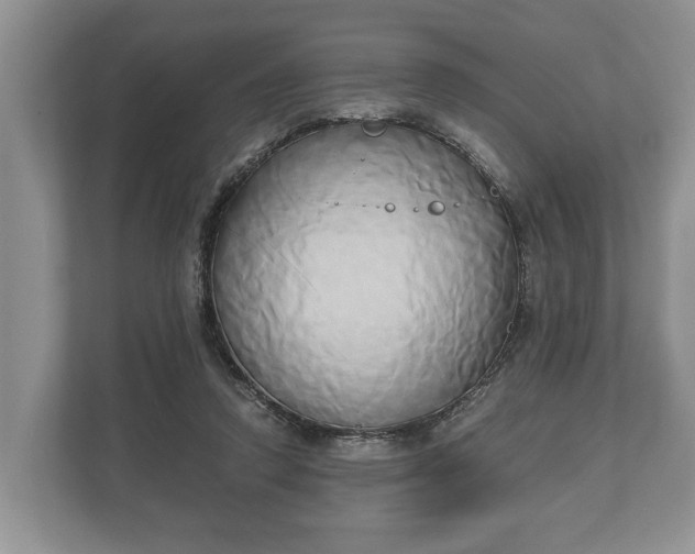 X0000110320354200905281637