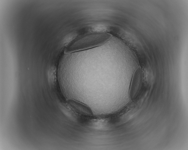 X0000110320356200905281637