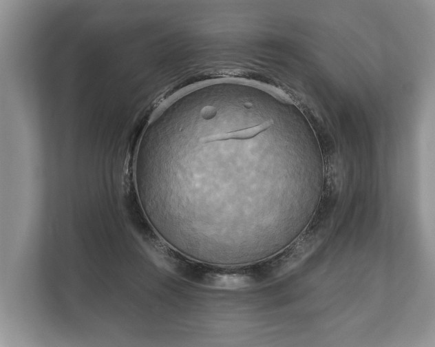 X0000110320360200905281637