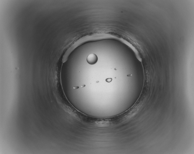 X0000110320362200905281637