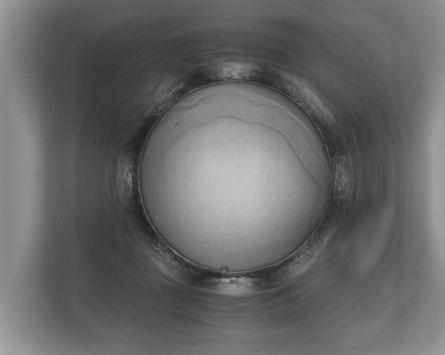 X0000110320363200905281637