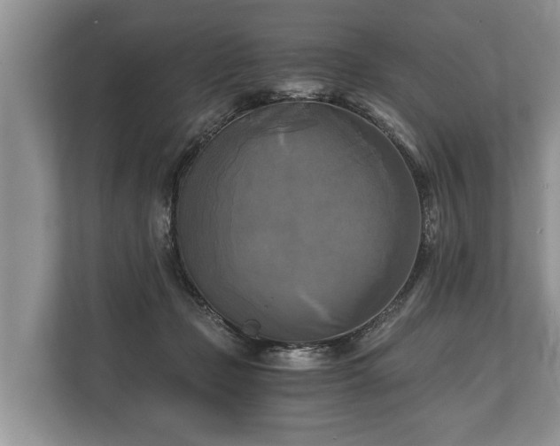 X0000110320365200905281637