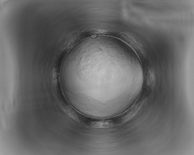 X0000110320366200905281637