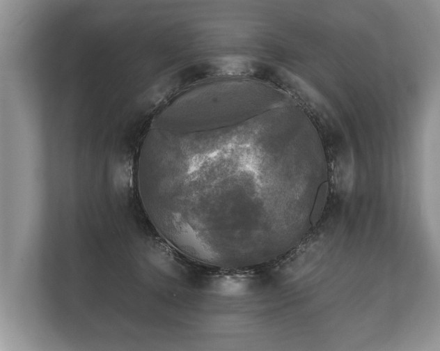 X0000110320368200905281637