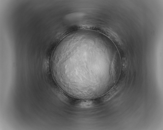 X0000110320369200905281637