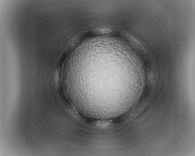 X0000110320373200905281637