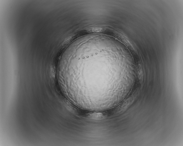 X0000110320374200905281637