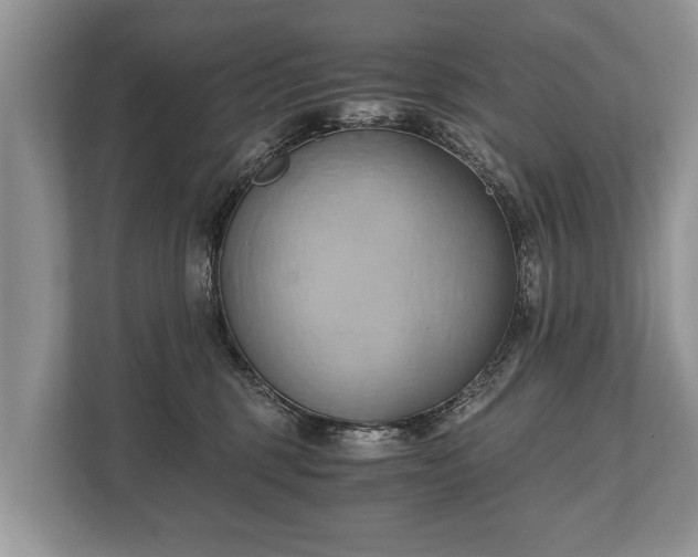 X0000110320375200905281637