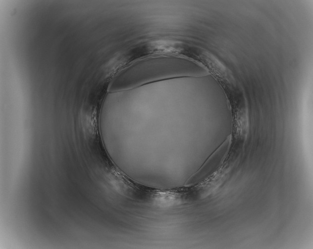 X0000110320376200905281637