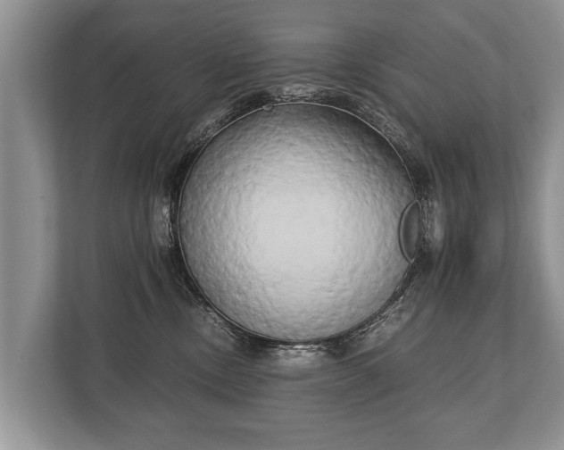 X0000110320378200905281637