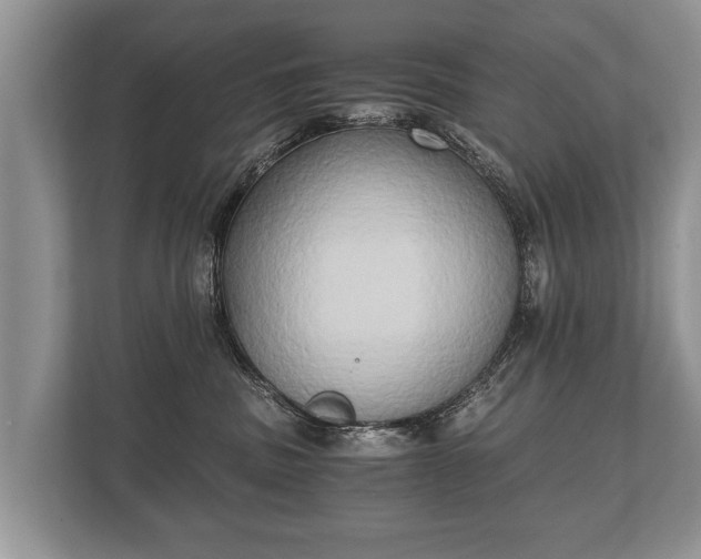 X0000110320379200905281637