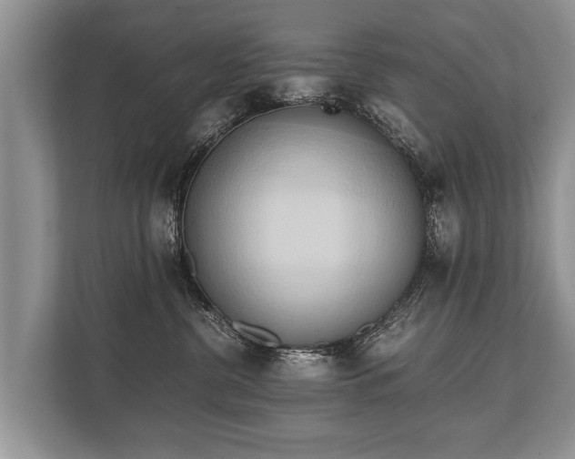 X0000110320380200905281637