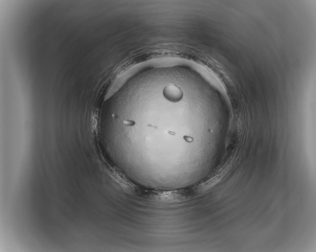 X0000110320382200905281637