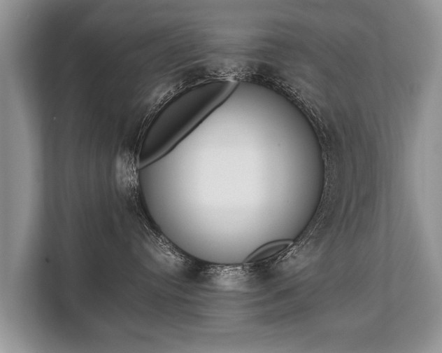 X0000110320384200905281637