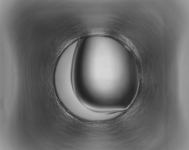 X0000110320385200905281637