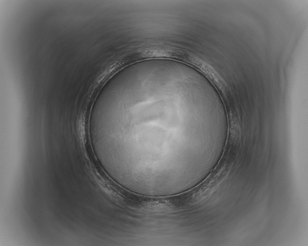 X0000110320386200905281637