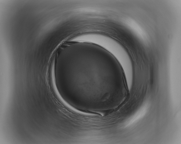 X0000110320387200905281637