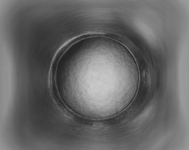 X0000110320388200905281637