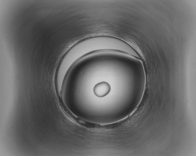 X0000110320389200905281637