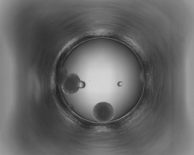 X0000110320392200905281637