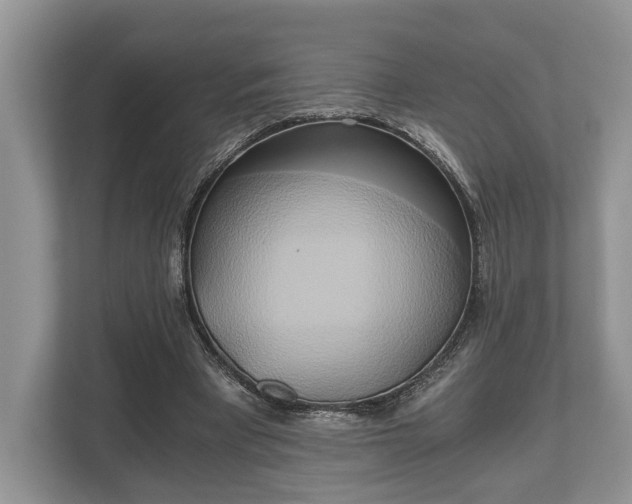 X0000110320393200905281637