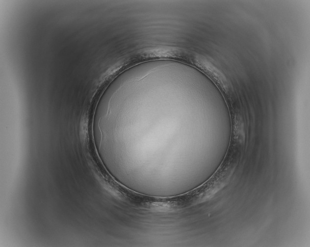 X0000110320394200905281637