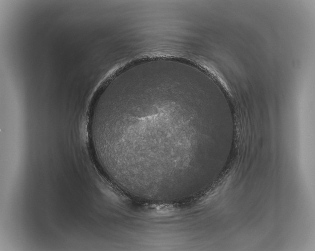 X0000110320395200905281637