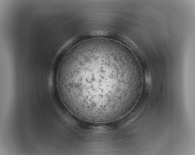 X0000110320396200905281637