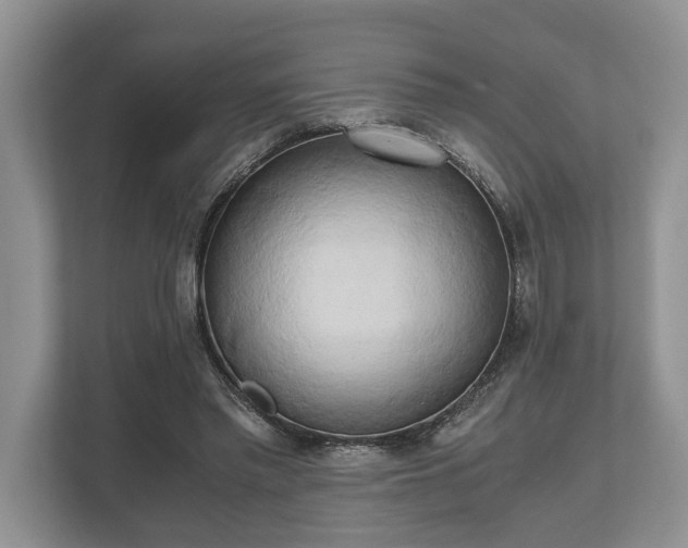 X0000110320397200905281637