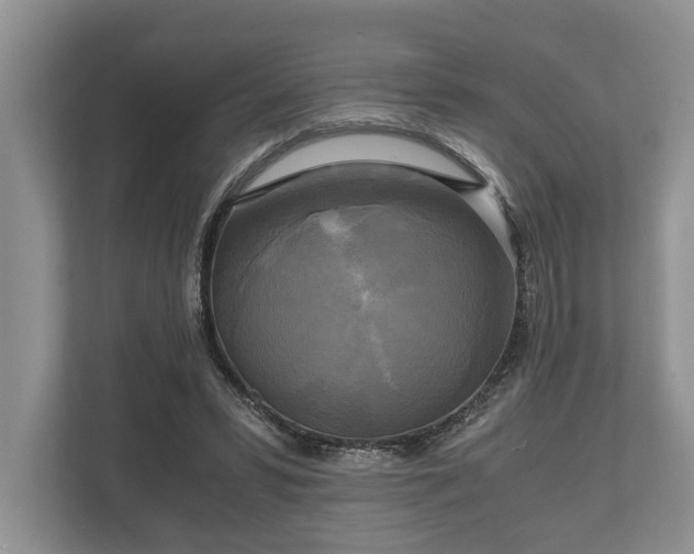 X0000110320399200905281637