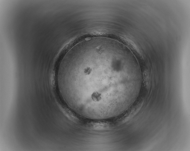 X0000110320400200905281637
