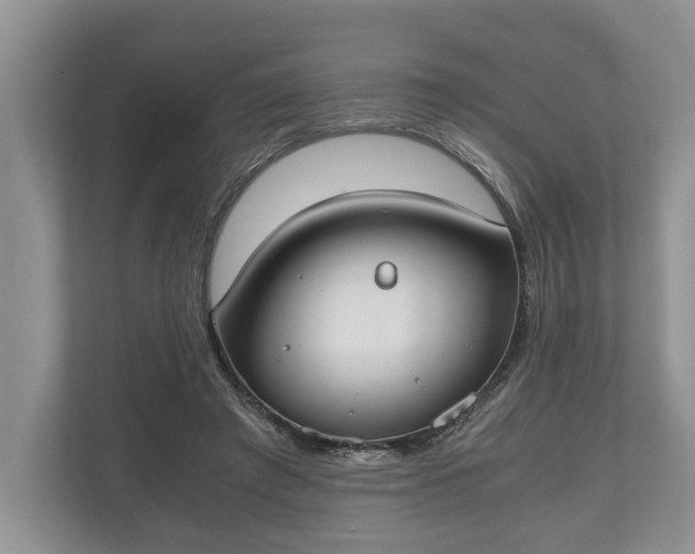 X0000110320401200905281637